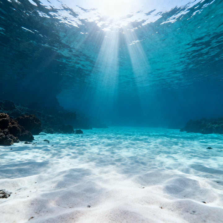 Buceo en Canarias — Curso Open Water en Fuerteventura — Punta Amanay