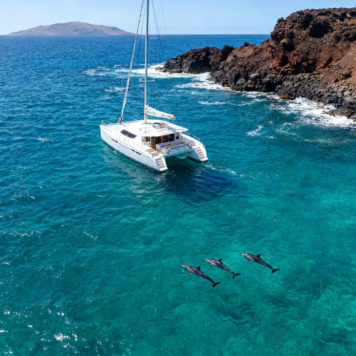 Experiencia en Canarias — Excursión en catamarán en Puerto Colón — White Tenerife