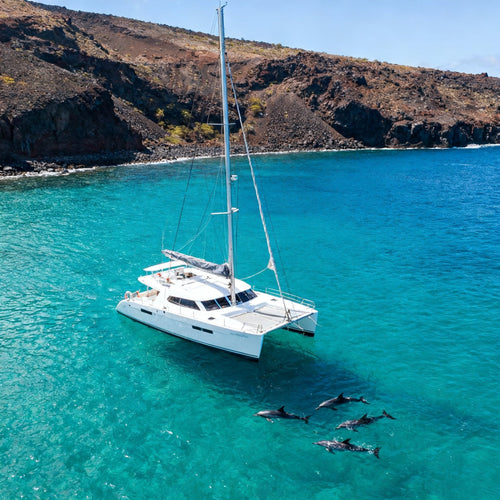Experiencia en Canarias — Catamarán y snorkel con tortugas en Los Cristianos / Puerto Colón — Canco Tenerife