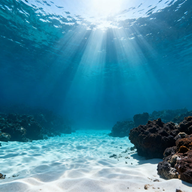 Dive Pro Fuerte