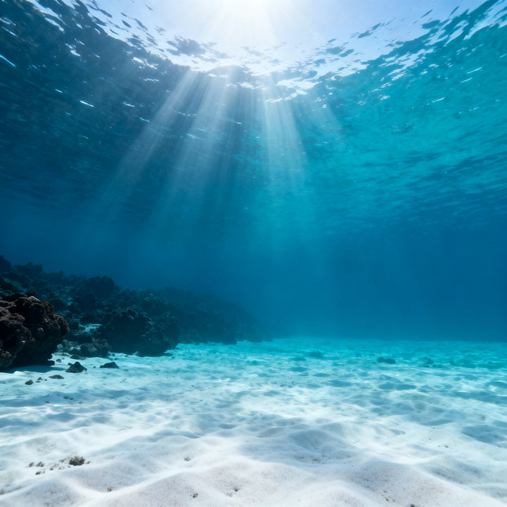 Buceo en Canarias — Curso Open Water en Fuerteventura — Fuerteventura Buceo | Diving Center
