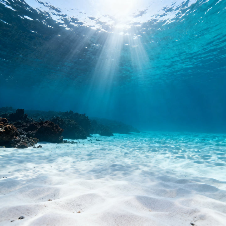 Buceo en Canarias — Curso Open Water en Lanzarote — Rubicon Diving