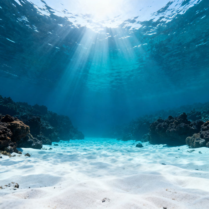 Buceo en Canarias — Curso Open Water en Tenerife — Big Fish Tenerife