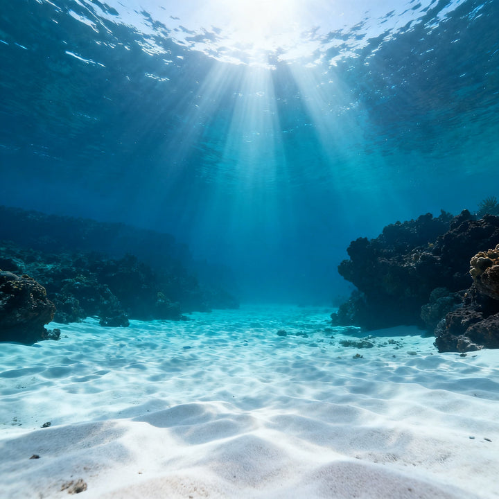 Buceo en Canarias — Curso Open Water en Lanzarote — Mojo Dive