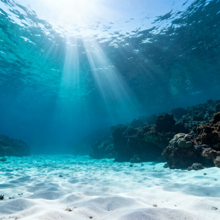 Buceo en Canarias — Curso Open Water en Tenerife — Scuba Sur