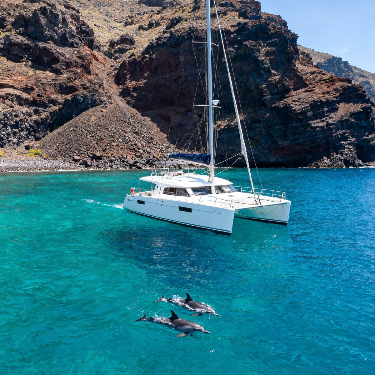 Experiencia en Canarias — Excursión en catamarán en Puerto Colón — Tenerife Dolphin (Royal Delfin)